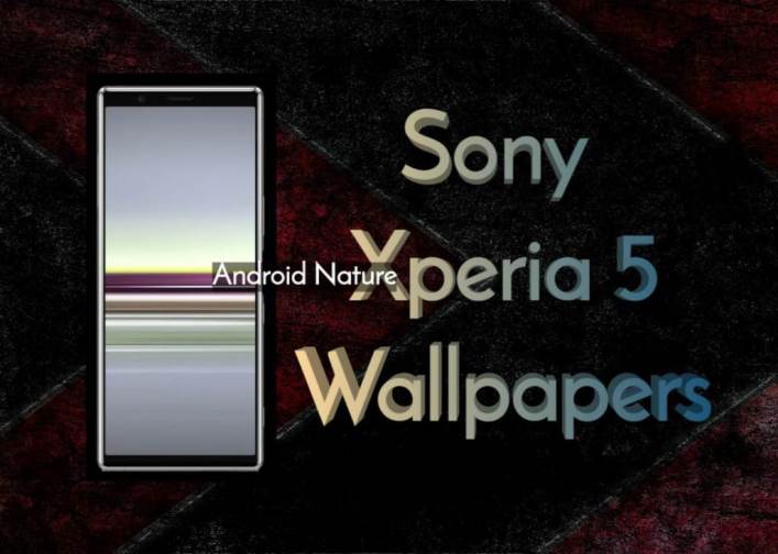 DOWNLOAD] Sony Xperia 5 Stock