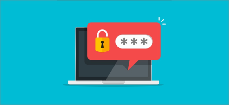 View Instagram Password